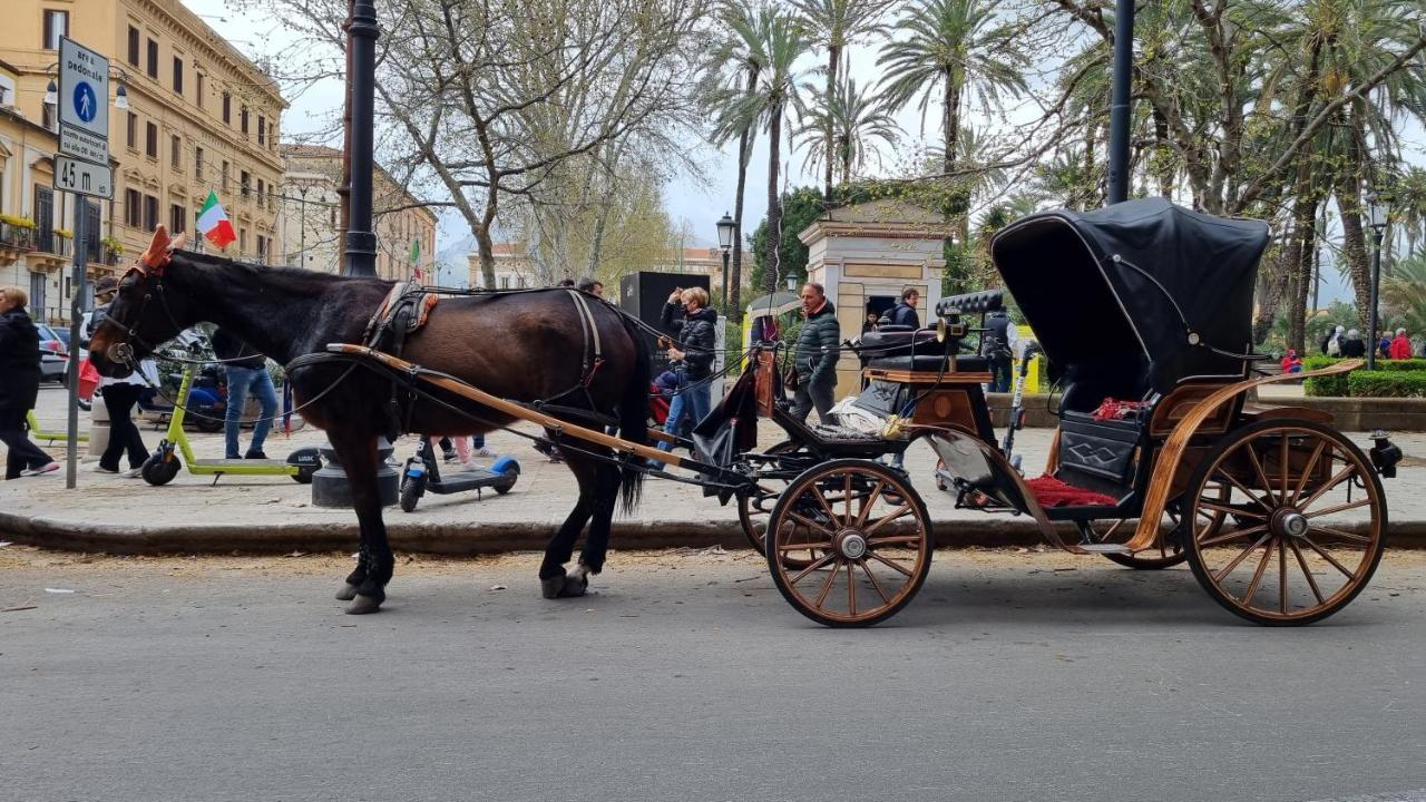 La Bedda Sicilia Leilighet Palermo Eksteriør bilde